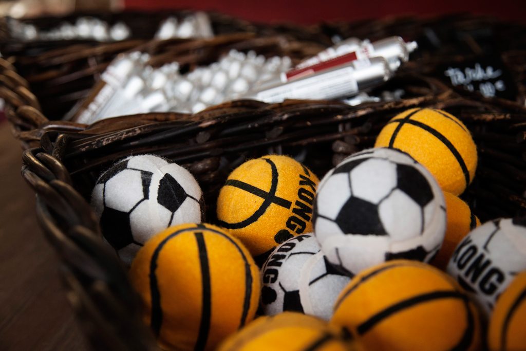 Artgerechtes Spielzeug für Hunde findest Du ebenfalls bei uns.